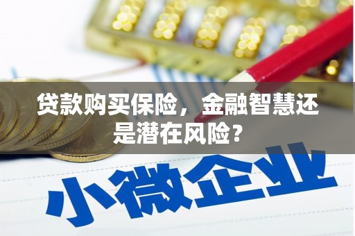 筠连贷款购买保险，金融智慧还是潜在风险？
