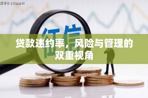 筠连贷款违约率，风险与管理的双重视角