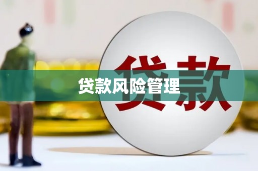 筠连贷款风险管理