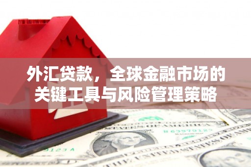 筠连外汇贷款，全球金融市场的关键工具与风险管理策略
