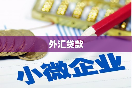筠连外汇贷款