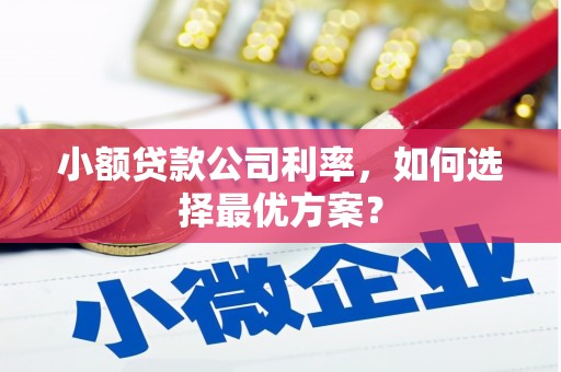 筠连小额贷款公司利率，如何选择最优方案？