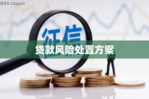 筠连贷款风险处置方案