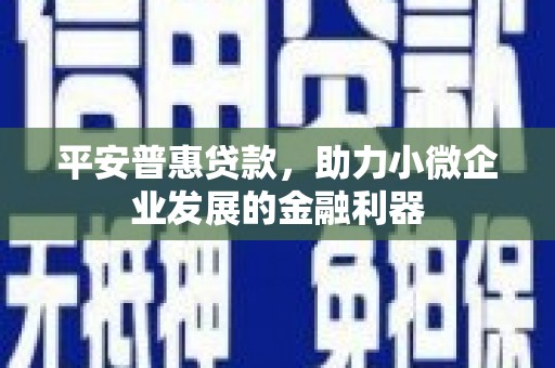 筠连平安普惠贷款，助力小微企业发展的金融利器