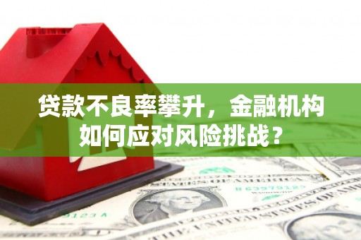 筠连贷款不良率攀升，金融机构如何应对风险挑战？