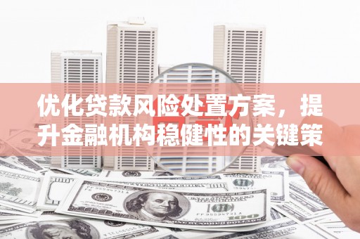 筠连优化贷款风险处置方案，提升金融机构稳健性的关键策略