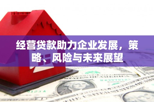 筠连经营贷款助力企业发展，策略、风险与未来展望