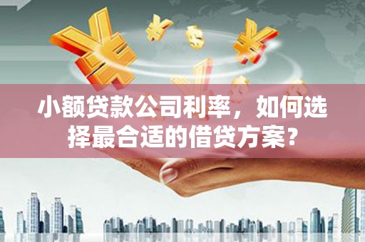 筠连小额贷款公司利率，如何选择最合适的借贷方案？