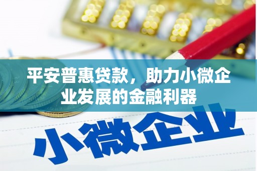 筠连平安普惠贷款，助力小微企业发展的金融利器
