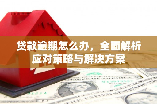 筠连贷款逾期怎么办，全面解析应对策略与解决方案
