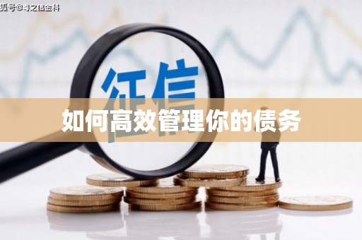 筠连如何高效管理你的债务